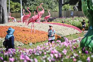 BIB: 
                            <button type="button" onclick="openModal(27793860)" class="btn btn-primary btn-sm float-right btn-popup" data-toggle="modal" data-target=".modal-high-quality">
                        <i class="fas fa-shopping-cart"></i> Add to Cart
                    </button>
                                            <button type="button" onclick="isThisMe(27793860, true)" class="btn btn-success btn-sm float-right btn-popup btn-isme hidden" data-toggle="tooltip" data-placement="bottom" title="นี่คือรูปของคุณใช่ไหม คลิกที่นี่เพื่อเอาเข้าอัลบั้ม">
                        <i class="fas fa-plus"></i> Add to album
                    </button>
                    <button type="button" onclick="isThisMe(27793860, false)" class="btn btn-warning btn-sm float-right btn-popup btn-isnotme hidden">
                        <i class="fas fa-ban"></i> Remove from album
                    </button>